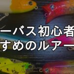 シーバス初心者におすすめのルアー10選