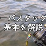シーバスタックル基本を解説