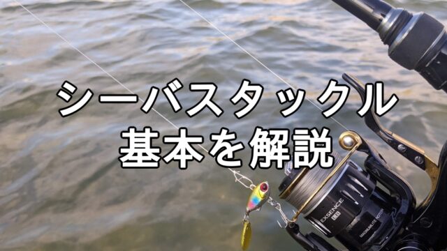 シーバスタックル基本を解説
