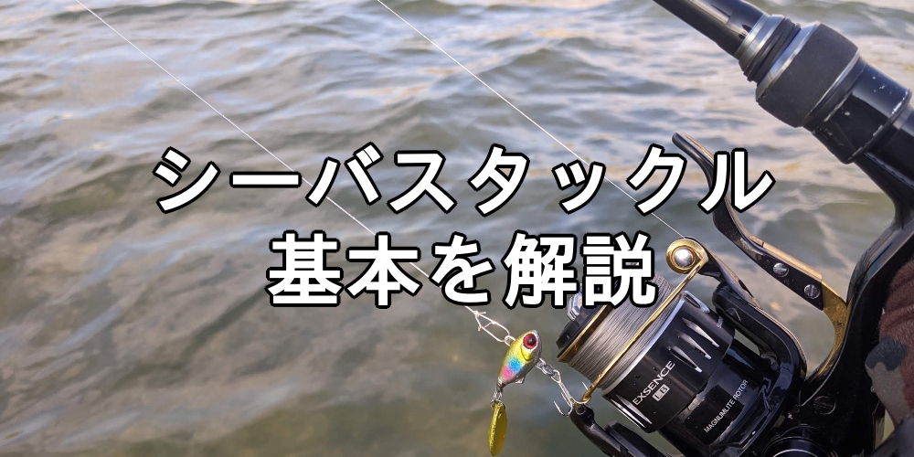 シーバスタックル基本を解説