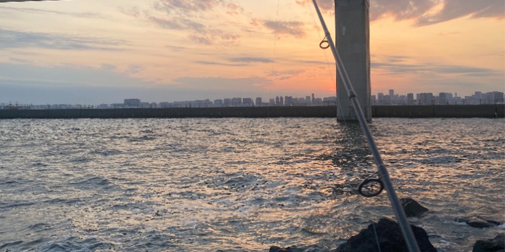 夏シーバスで狙いやすい場所