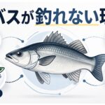 シーバスが釣れない理由