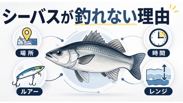 シーバスが釣れない理由