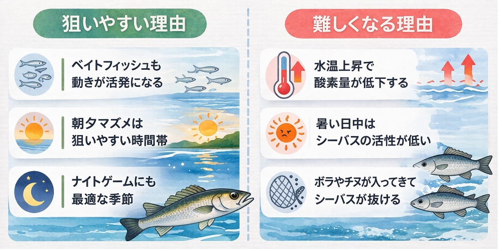 狙いやすい理由と難しくなる理由