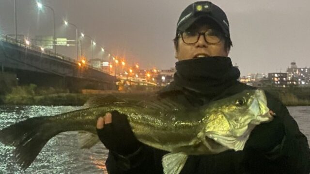 夜シーバス
