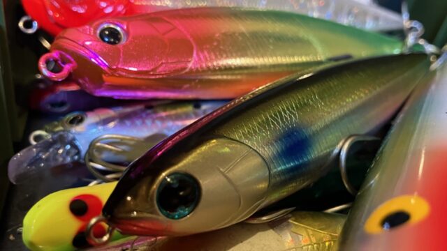 トップウォーター初心者