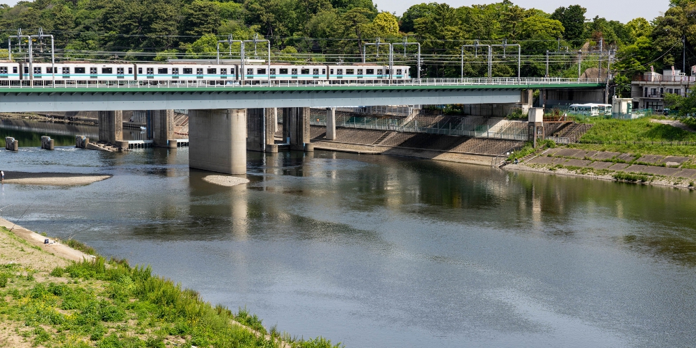 電車釣行