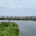 新荒川橋