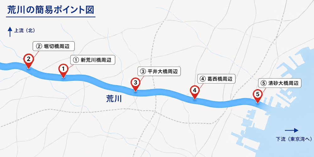 荒川シーバスのおすすめポイント5選