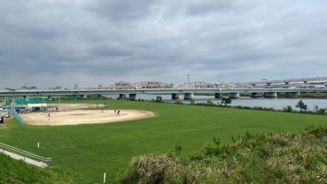 荒川シーバスのポイント5選
