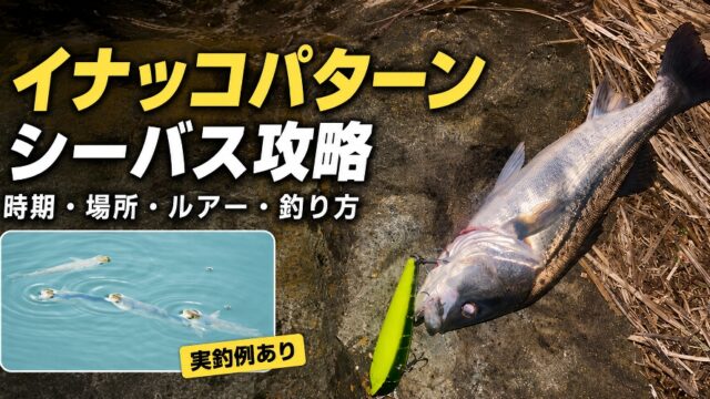 イナッコ攻略