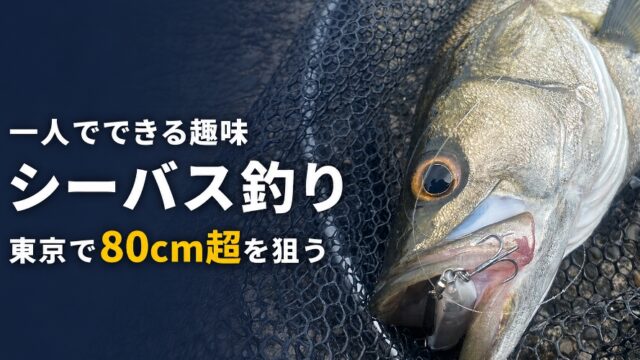 趣味シーバス